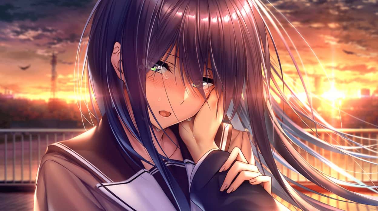甜蜜女友2～Perfect Edition～ 版封面